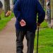 Older adult in a blue sweater walking with a cane along a tree-lined path